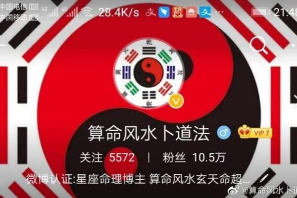 解读金舆命格：命理学中的独特人生轨迹与发展机遇