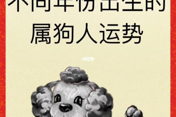 揭秘中国传统命理：龙与狗的命运解析