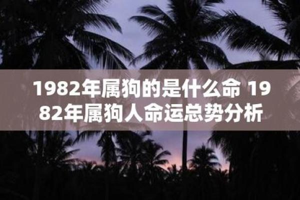 揭秘中国传统命理：龙与狗的命运解析