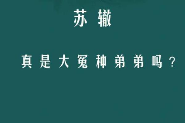 没有子女的人生选择：命运之下的不同人生轨迹与命格解读