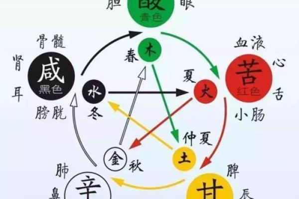 揭开老虎的五行之谜：勇猛与智慧的结合