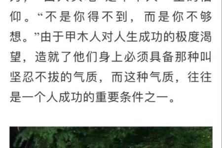 男命带垣城：揭示五行命理中的深刻智慧与人生方向