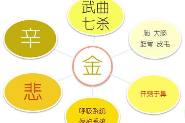 名字带木五行之命运探究：你是否知道自己的命运密码？