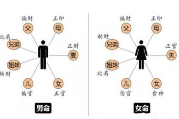 了解女剑锋金命：揭开神秘命理的面纱