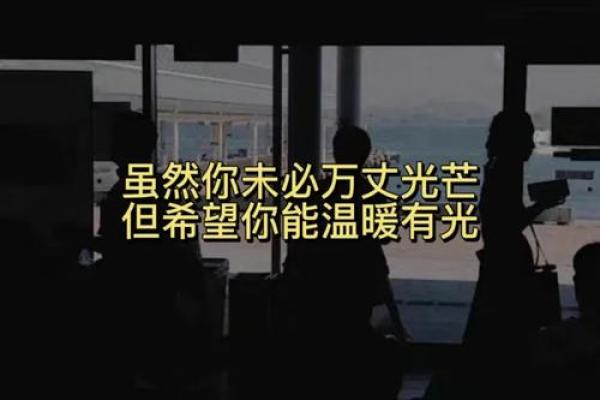 命硬命运与坚持：追寻生命中的光芒与希望