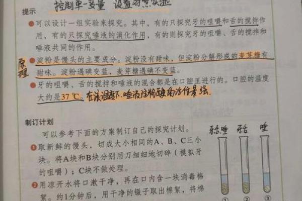 两个馒头交换生命：一种另类的思考与启示