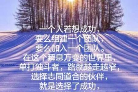 陌越入命：探寻命运的隐秘与改变之道