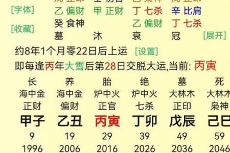 明年正月出生的宝宝：属什么命？揭示孩子的未来运势与命格！