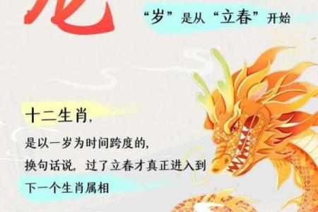 明天属什么生肖？揭秘明日出生的人命运与性格特点