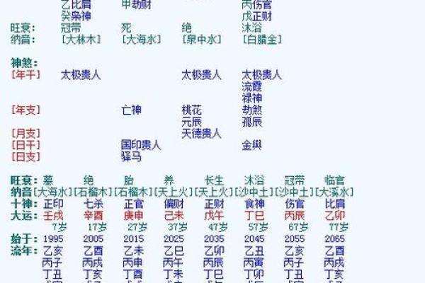 了解2000年龙年五行命理：探索你的命运与性格特征