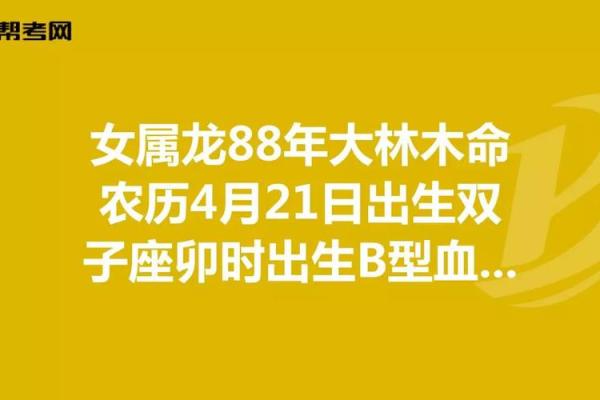 木命人的职业选择：避免的行业与发展建议