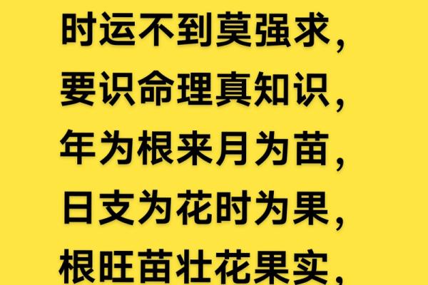 命身宫为空宫的深刻含义与个体发展