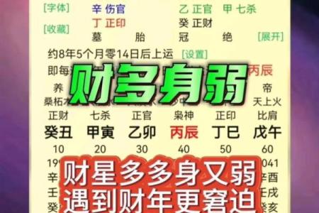 命带聪明的八字：如何解读与运用生活智慧