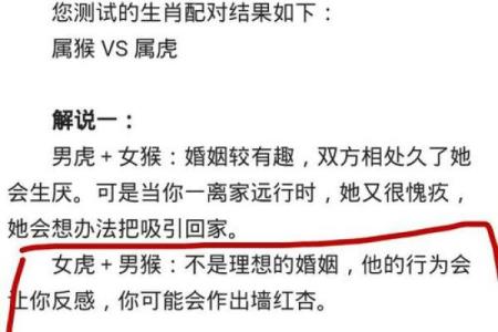 明年虎宝宝的命理解析：了解你的未来运势与性格特征