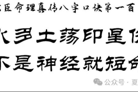 木命与土命的命理解析：从传统文化看生命的奥秘