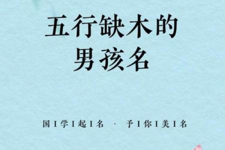 命运与名字：木字命之探寻与启示