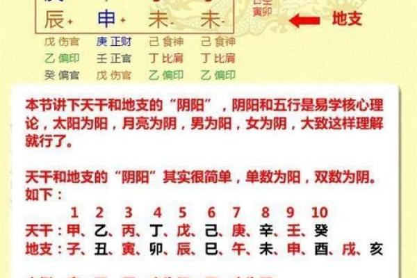 看命盘的奥秘：从星象中洞悉未来的人生问题