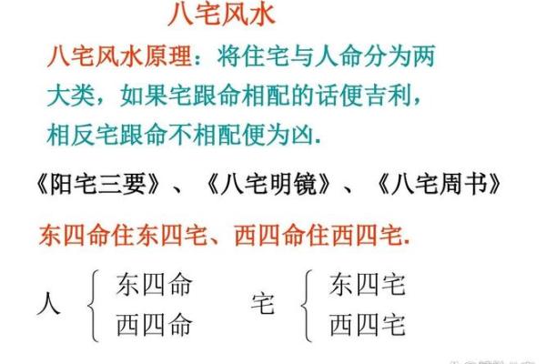 了解坤命东四命：揭示命理中的奥秘与真实