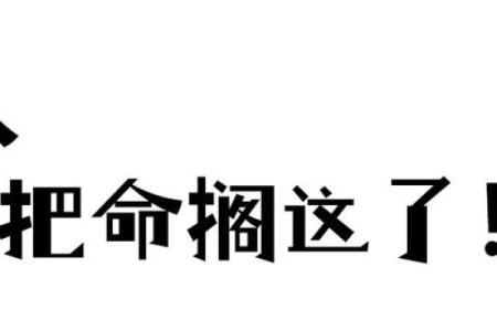 关于命重命轻：为什么有的人命运坎坷而有的人则顺风顺水？