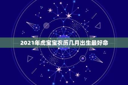 九月虎宝宝的命运解析：温婉与勇猛的完美结合