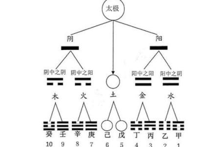 解析农历七月五行命理，揭秘你的命运之路！