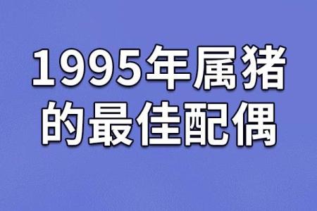 1995年出生的你，属于什么命？