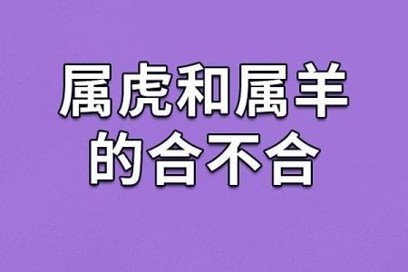 揭秘六月属羊女的命运与个性特征：生活的智慧与挑战