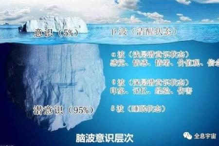 孟子性与命的辩证关系：探讨人与命运的内在联系