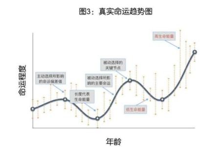 六九年出生的命运解析：探索生命中的星辰与轨迹