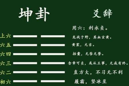 坤字命理解析：适合哪些命格的朋友？揭开神秘面纱！