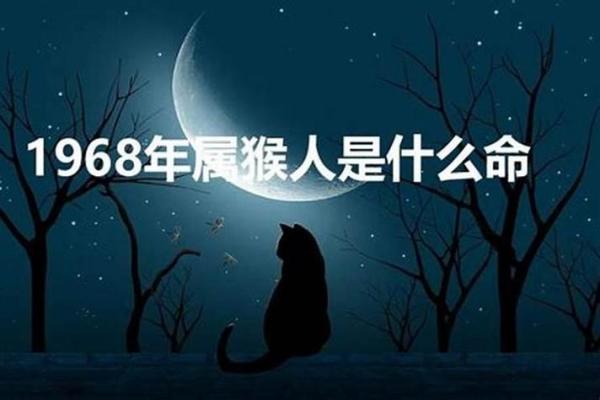 六八年出生的猴生肖：命运与性格的奇妙探讨