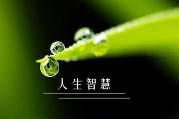 老年人四脚长拐杖的神秘命理：助力健康与生活的智慧选择