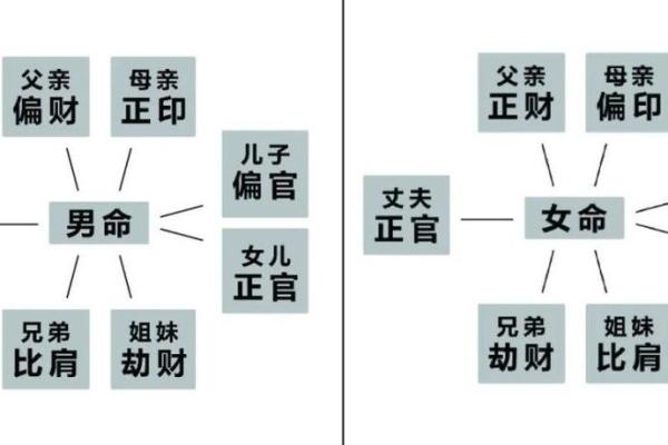 男命八字水旺，生肖解析与命理深度探讨