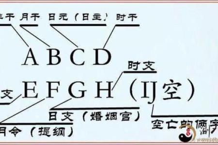 命理中的阴阳互见：揭示生活的深层次智慧与和谐之道