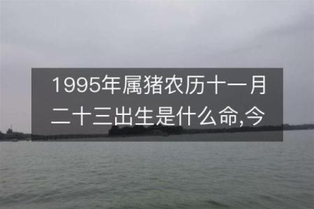 1995年出生的人命运特点与五行分析：缺什么与如何补救