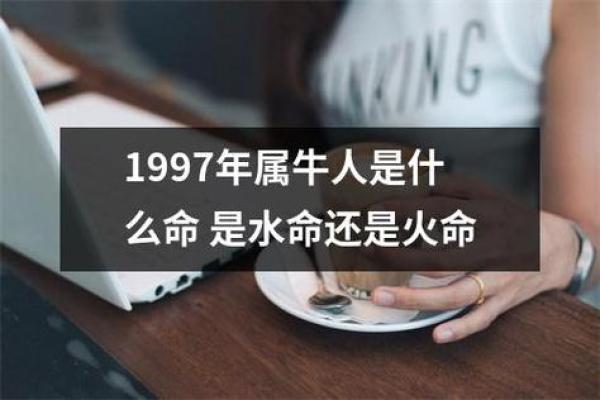 炉火命与水命相遇，照亮人生的美好篇章