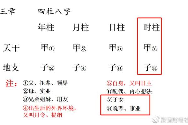 龙凤八字解密：命理中的双生缘分与人生轨迹