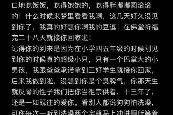 命不如烟：在短暂的生命中寻找真正的意义