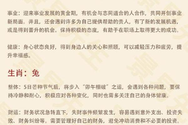 2024年虎年：看命理如何解析明年运势与生活智慧