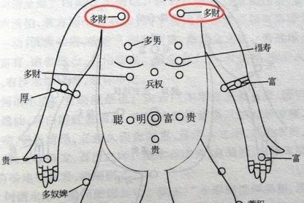 木牛之命五行缺什么？探寻命理与幸福的关联