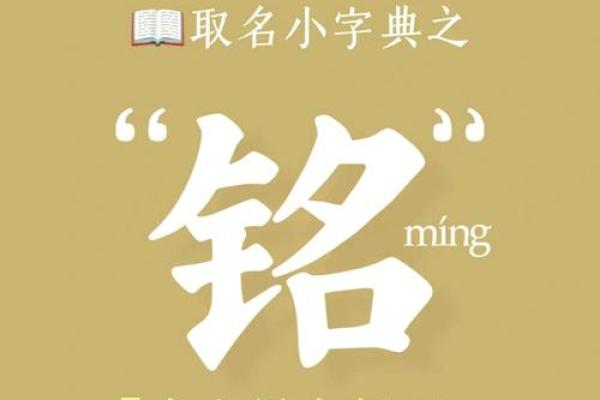 根据名字小字分析五行属性，探秘命运奥秘