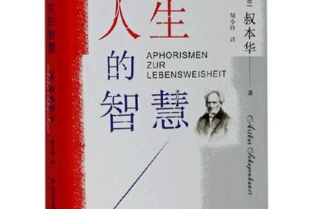 看命：不仅仅是测算命运，更是洞悉人生的智慧与艺术