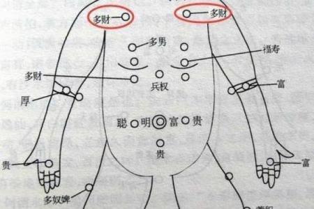 木牛之命五行缺什么？探寻命理与幸福的关联