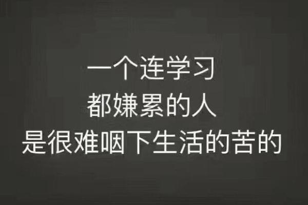 命不与命争：从淡然中寻找生活的智慧与平和