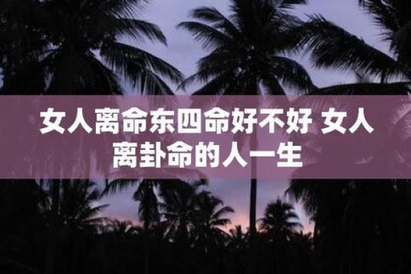 揭示离命东四命的神秘面纱：探索命理背后的智慧与哲学