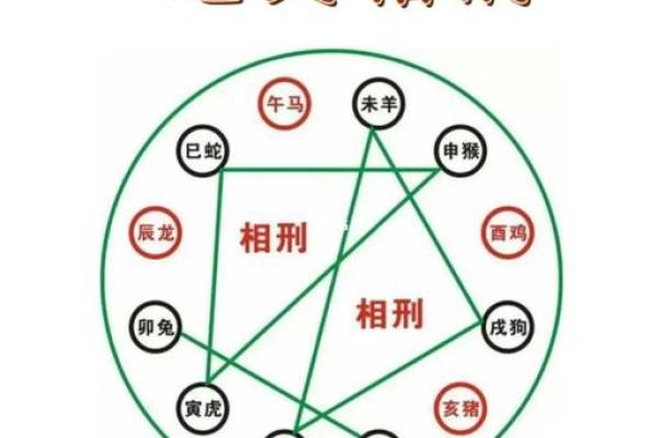 龙命理解析：属龙男生的命格与人生建议