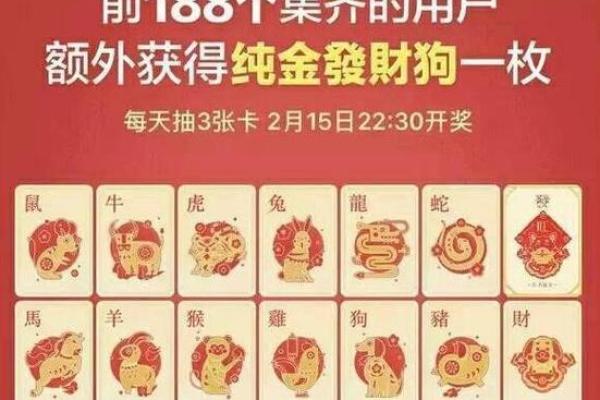 马云的生肖和命格解析：深度解读成功背后的秘密