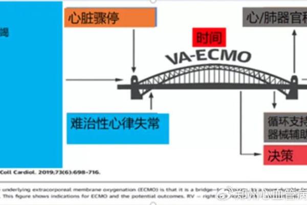 当命悬一线，我们该如何应对突发状况？