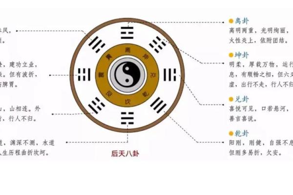 面相不好对个人命运的深远影响与应对策略