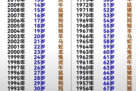 1996年六月出生的人，是如何影响自己命运的？